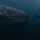 Ilustración para el artículo titulado 10 películas que maquillaron el final de las historias reales en que se basan